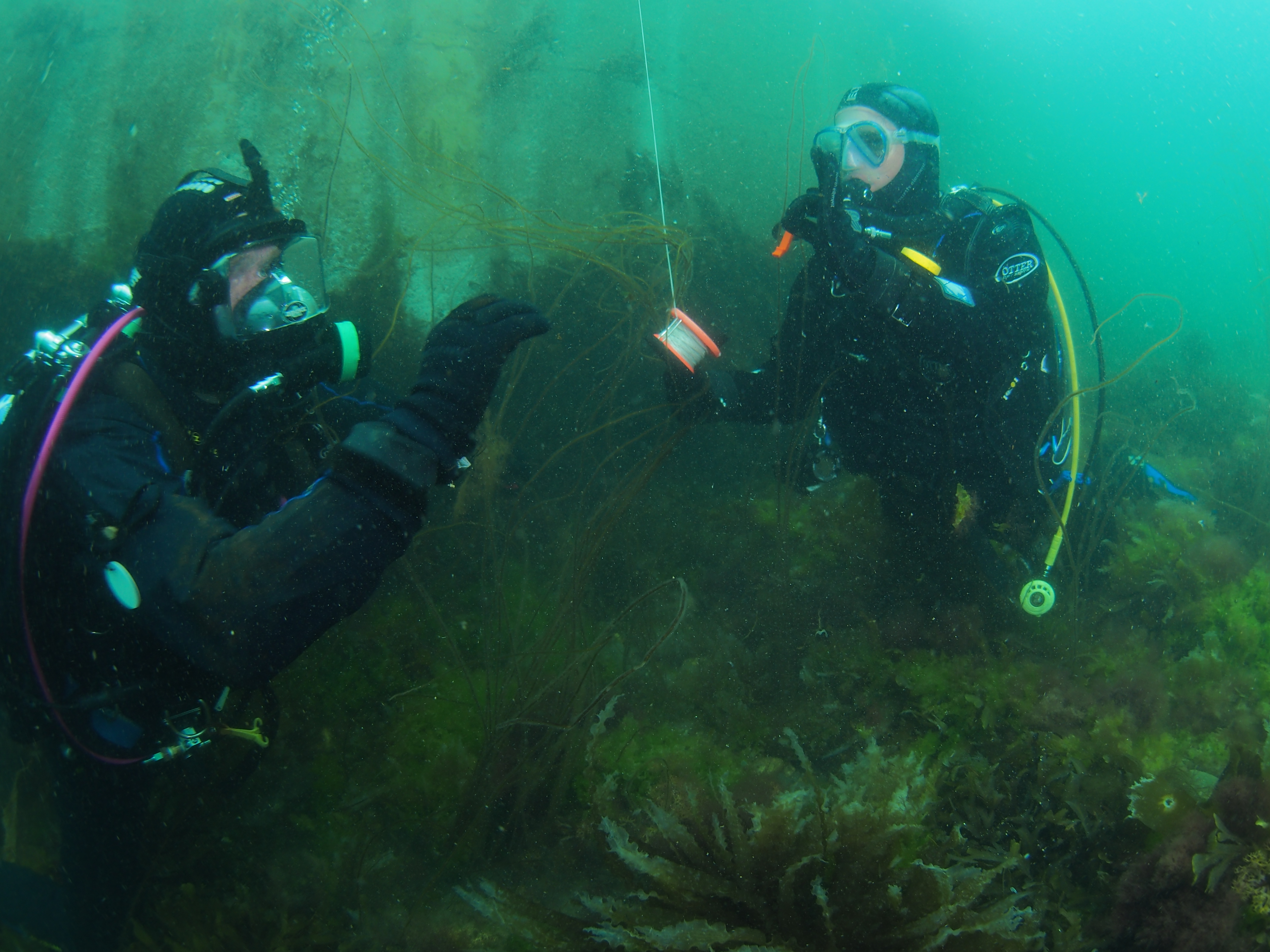 Underwater Rescuers Saving lives one dive at a time: The incredible story of an Underwater ...