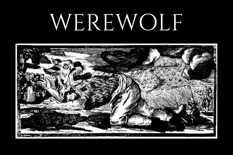 Werewolf Team General Strategy